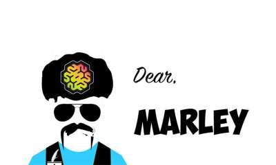 Marley Higher Mentality